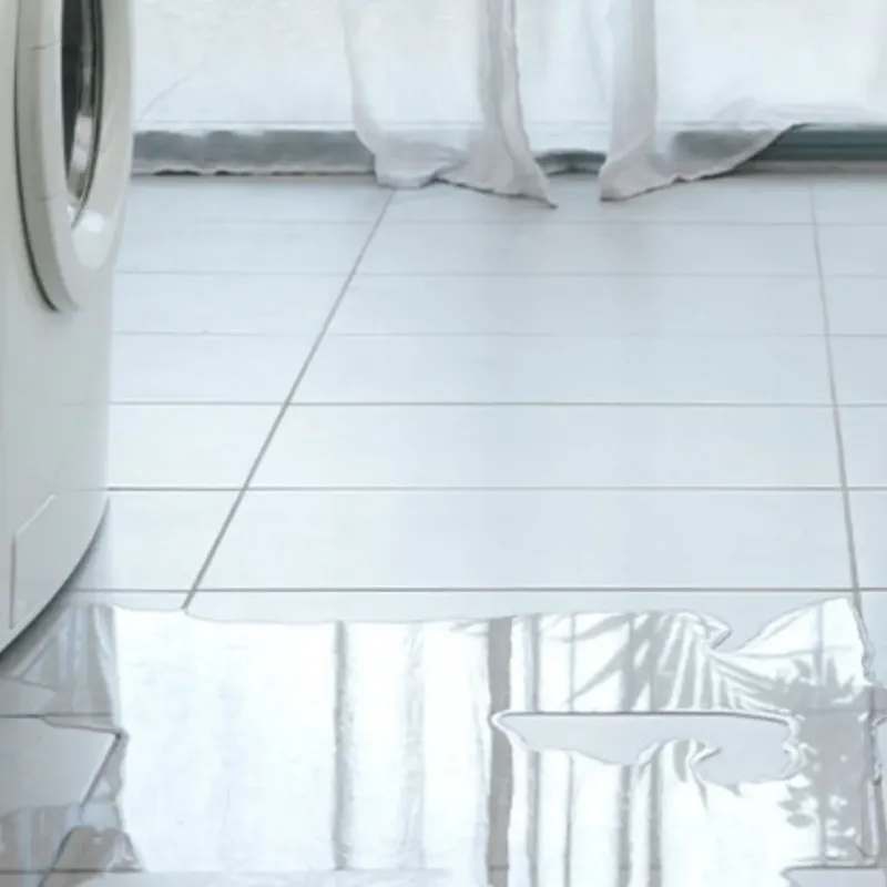 Appliance Leak Cleanup in Ross County, OH