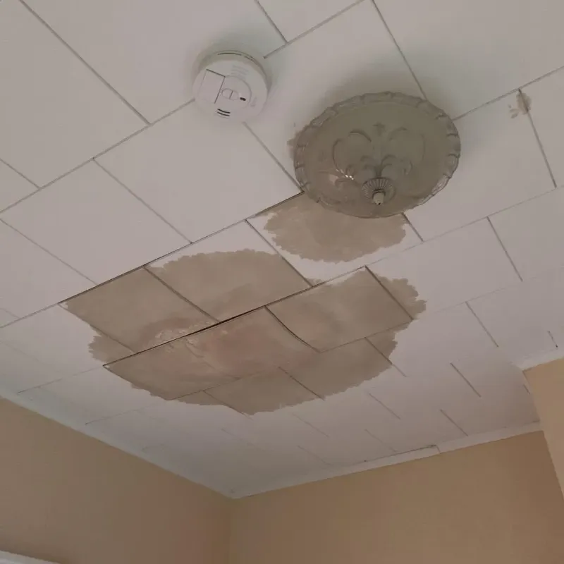 Ceiling Water Damage Repair in Ross County, OH