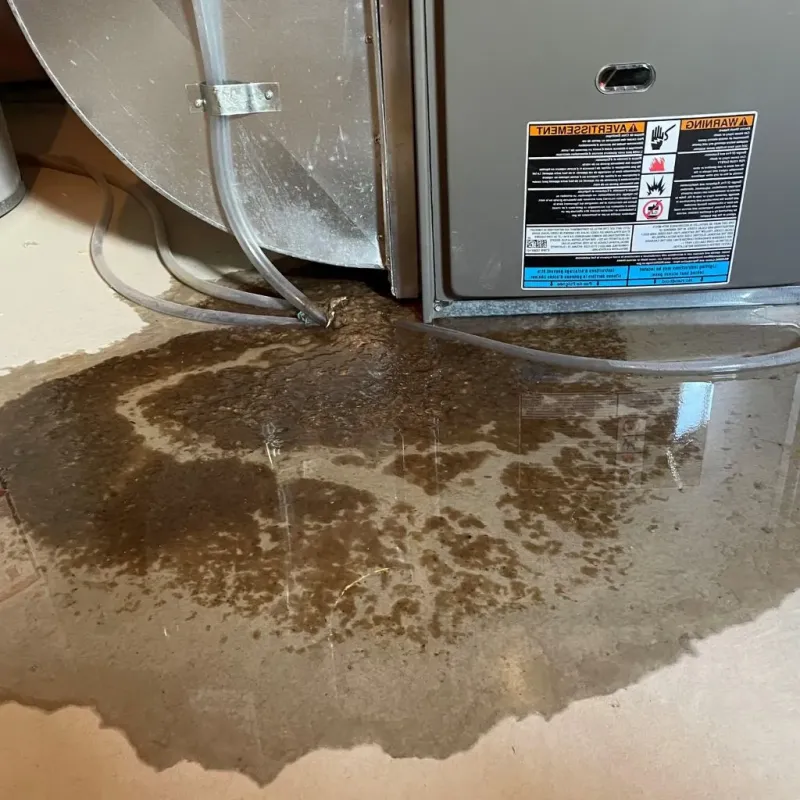 Pipe Burst and Leak Restoration in Ross County, OH