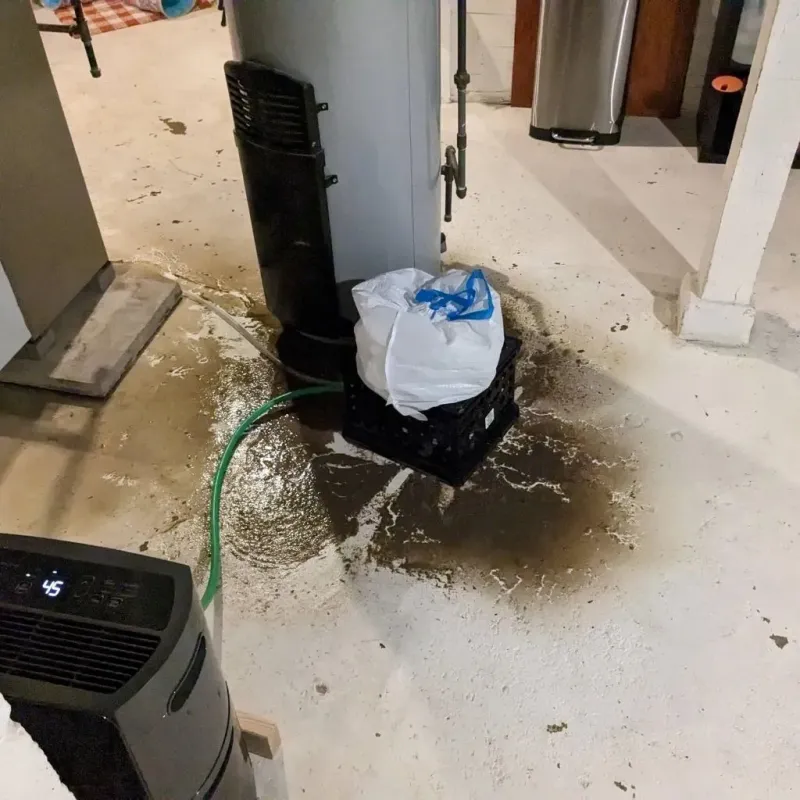 Sewage Backup Cleanup Service in Ross County, OH